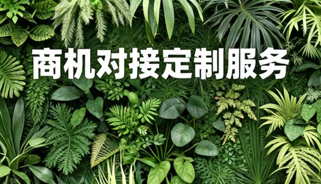 企业网站开发哪家好,采购供应如何精准对接